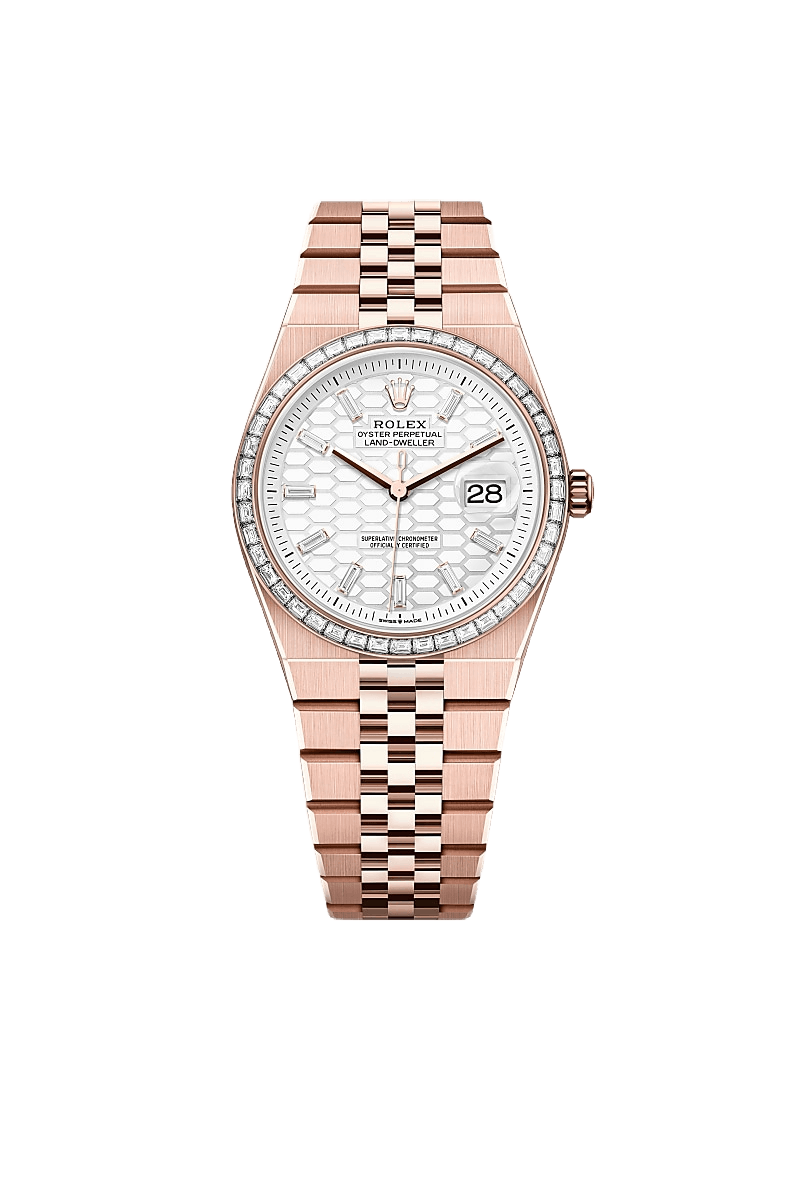 Land-Dweller 36 Oyster, 36 mm, Everose gold and diamonds