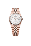 Land-Dweller 36 Oyster, 36 mm, Everose gold