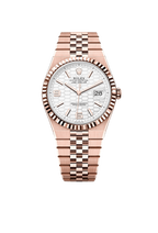Land-Dweller 40 Oyster, 40 mm, Everose gold