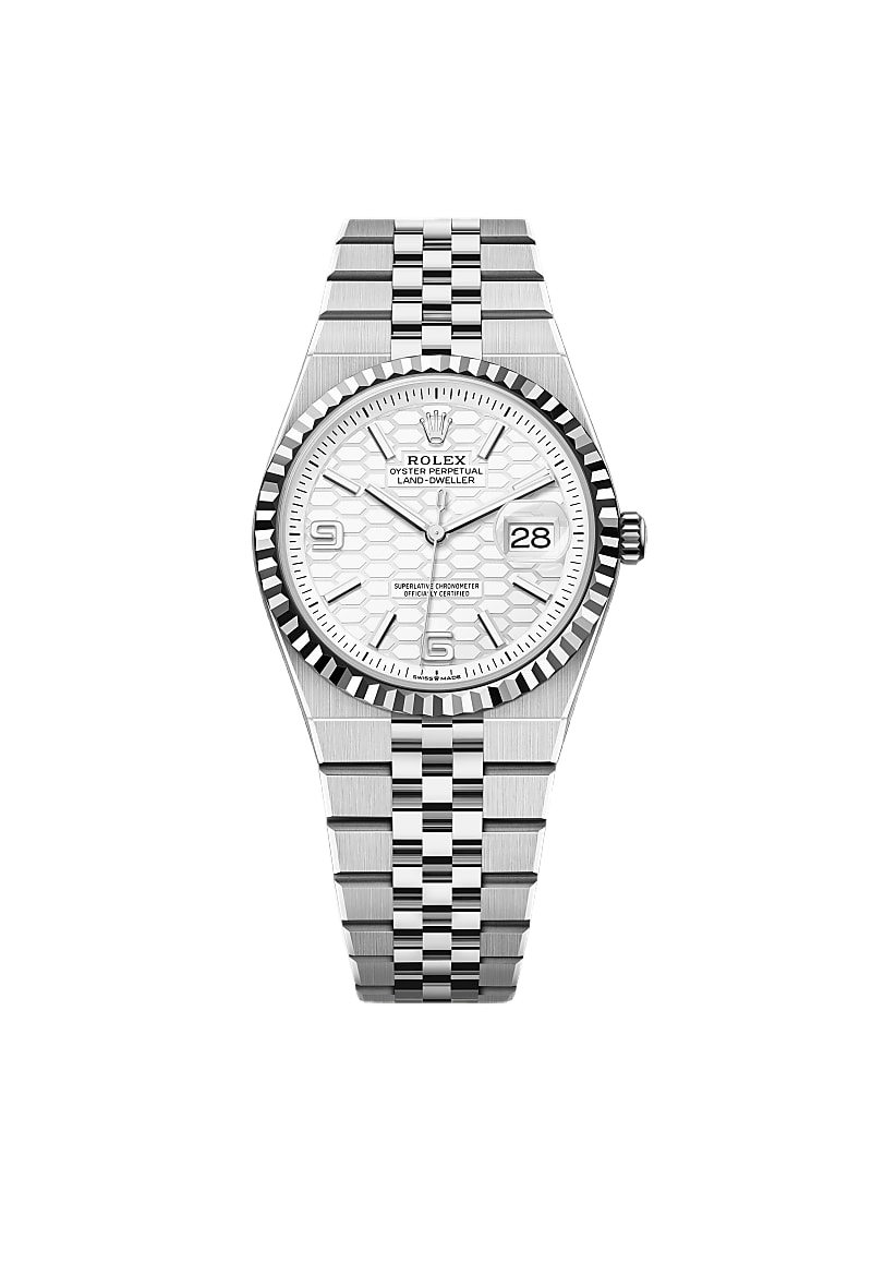 Land-Dweller 36 Oyster, 36 mm, Oystersteel and white gold
