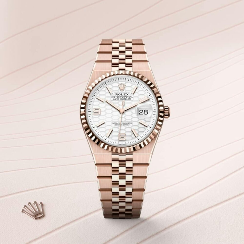 Land-Dweller 36 Oyster, 36 mm, Everose gold