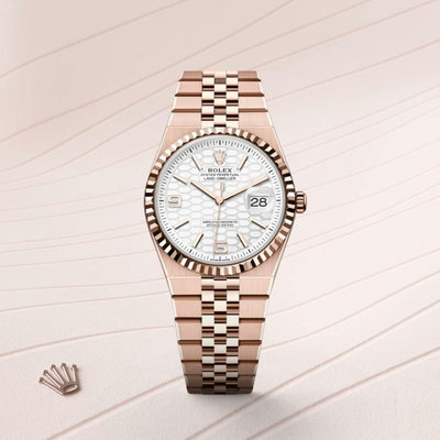 Land-Dweller 36 Oyster, 36 mm, Everose gold