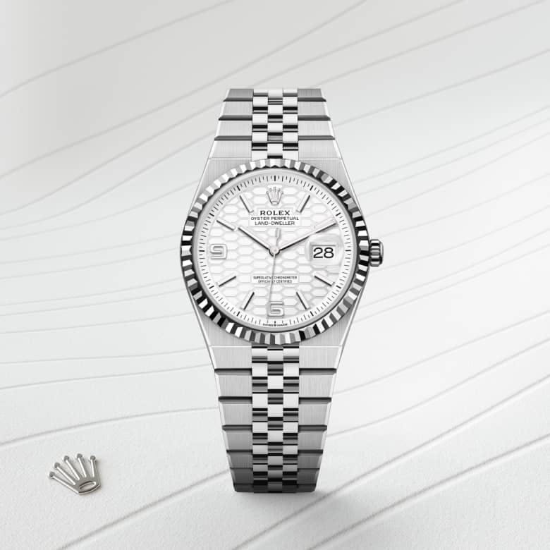 Land-Dweller 36 Oyster, 36 mm, Oystersteel and white gold