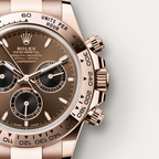 Cosmograph Daytona Oyster, 40 mm, Everose gold