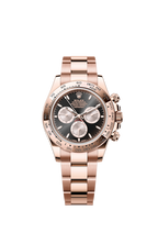 Cosmograph Daytona Oyster, 40 mm, Everose gold