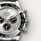 Cosmograph Daytona Oyster 40 mm white gold