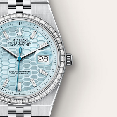 Land-Dweller 36 Oyster, 36 mm, platinum and diamonds