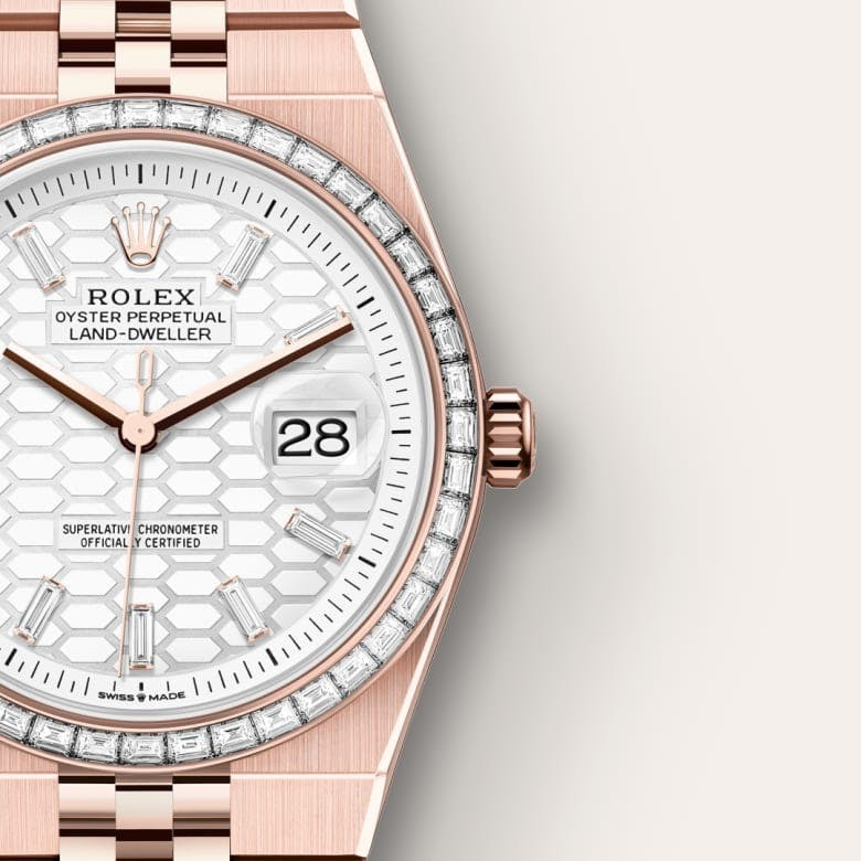 Land-Dweller 36 Oyster, 36 mm, Everose gold and diamonds