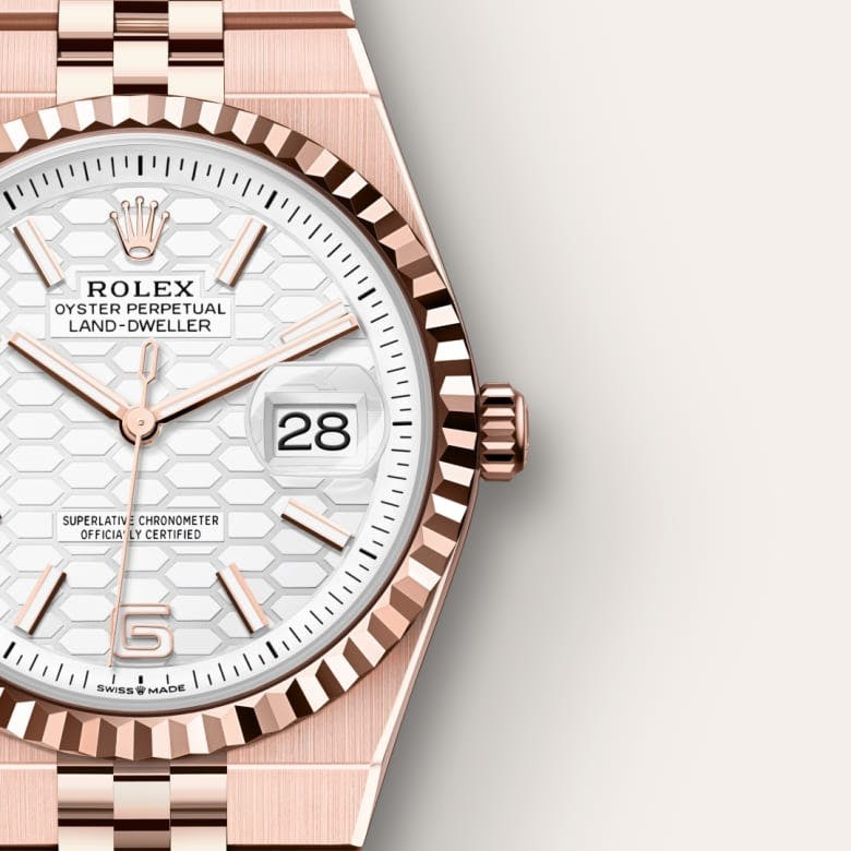 Land-Dweller 36 Oyster, 36 mm, Everose gold